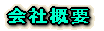 ��ЊT�v