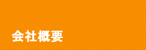 ЊTv