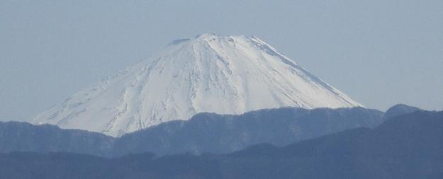 甲府社会福祉事業団　知的障害者通所授産施設ぽぷら