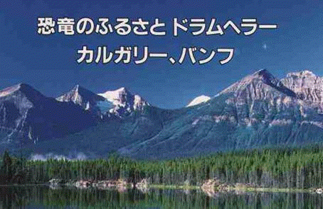 ��ε�Τդ뤵�ȡ��ɥ��إ顼�����륬�꡼���Х��