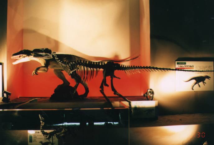 �إ��饵���륹